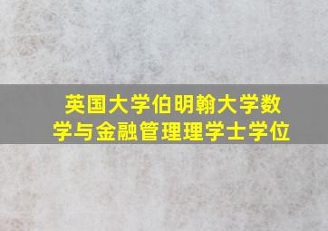 英国大学伯明翰大学数学与金融管理理学士学位