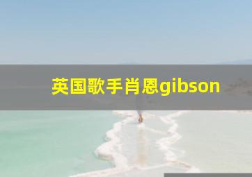 英国歌手肖恩gibson