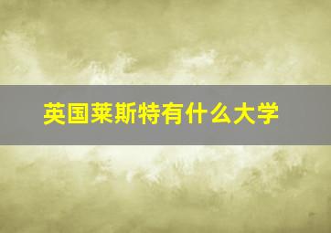 英国莱斯特有什么大学