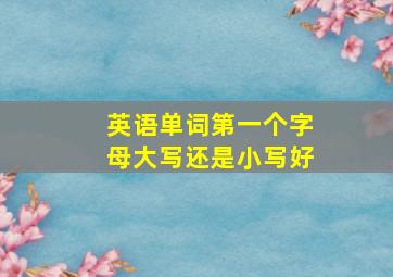 英语单词第一个字母大写还是小写好