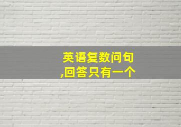 英语复数问句,回答只有一个