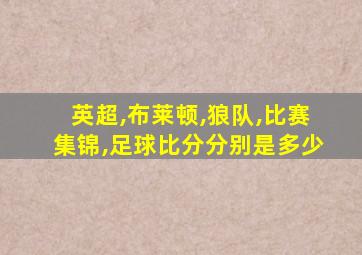 英超,布莱顿,狼队,比赛集锦,足球比分分别是多少