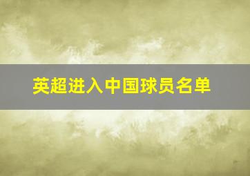 英超进入中国球员名单