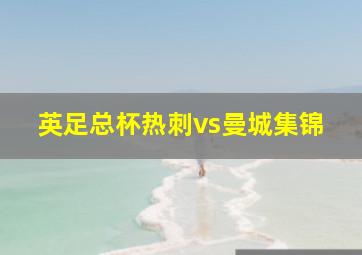 英足总杯热刺vs曼城集锦