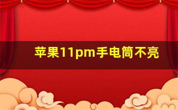 苹果11pm手电筒不亮