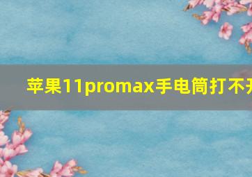 苹果11promax手电筒打不开