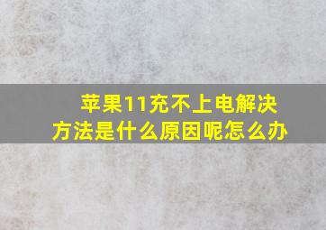 苹果11充不上电解决方法是什么原因呢怎么办