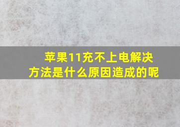 苹果11充不上电解决方法是什么原因造成的呢