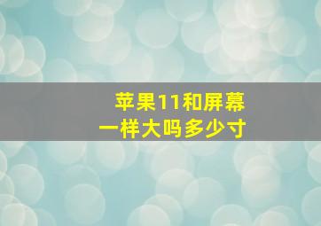 苹果11和屏幕一样大吗多少寸