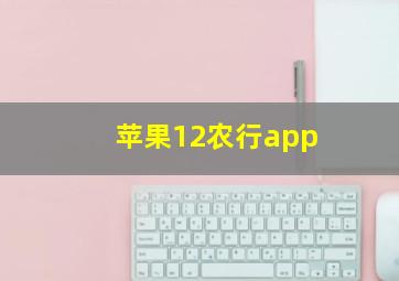 苹果12农行app