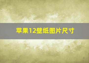 苹果12壁纸图片尺寸