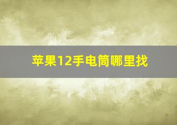 苹果12手电筒哪里找