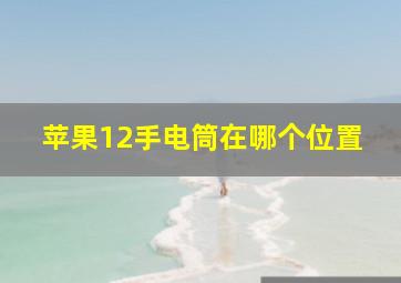 苹果12手电筒在哪个位置