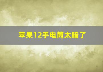 苹果12手电筒太暗了