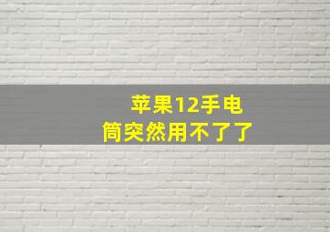 苹果12手电筒突然用不了了