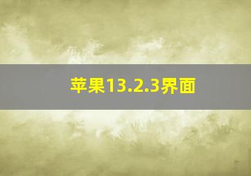 苹果13.2.3界面