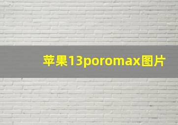 苹果13poromax图片