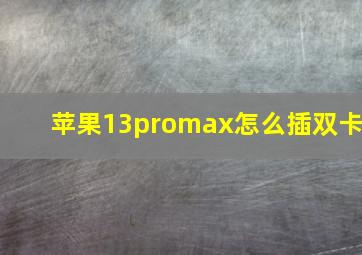 苹果13promax怎么插双卡