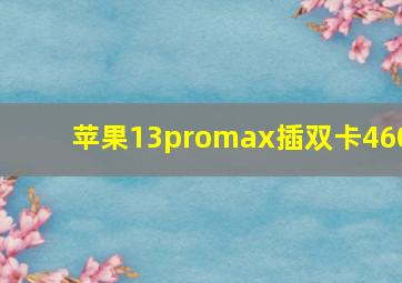 苹果13promax插双卡460