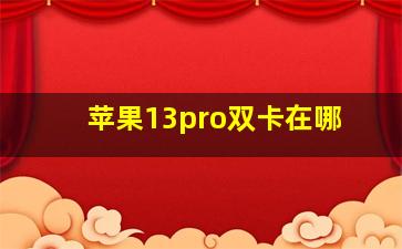 苹果13pro双卡在哪