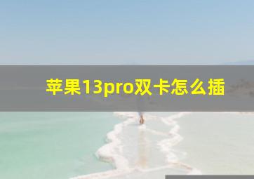 苹果13pro双卡怎么插