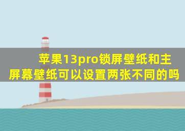 苹果13pro锁屏壁纸和主屏幕壁纸可以设置两张不同的吗