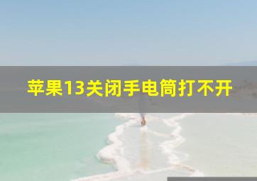 苹果13关闭手电筒打不开