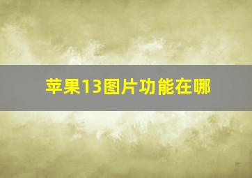 苹果13图片功能在哪