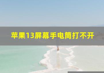 苹果13屏幕手电筒打不开