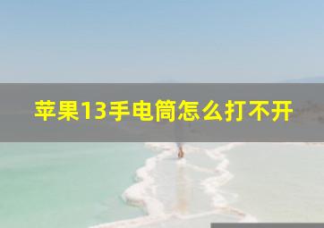 苹果13手电筒怎么打不开