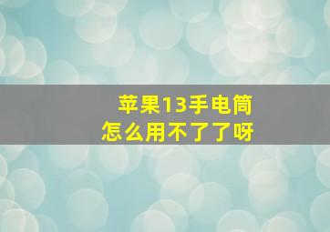 苹果13手电筒怎么用不了了呀