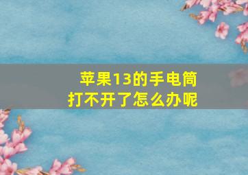 苹果13的手电筒打不开了怎么办呢