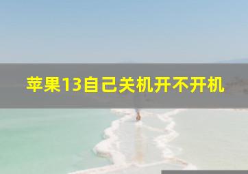 苹果13自己关机开不开机