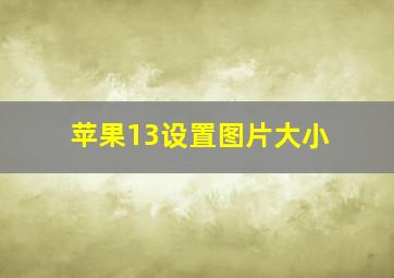 苹果13设置图片大小