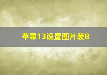 苹果13设置图片装B