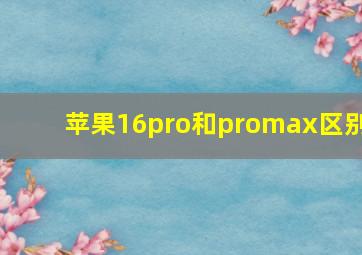 苹果16pro和promax区别