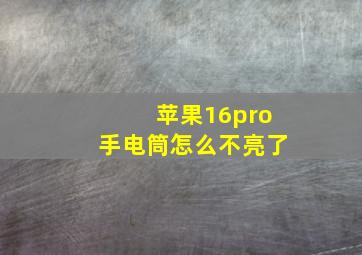 苹果16pro手电筒怎么不亮了