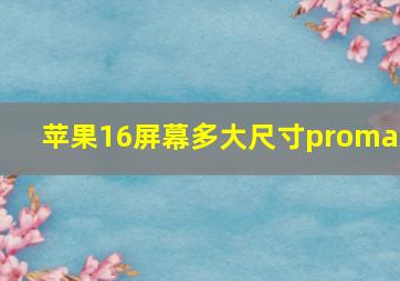 苹果16屏幕多大尺寸promax