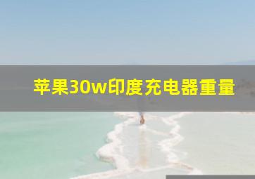 苹果30w印度充电器重量