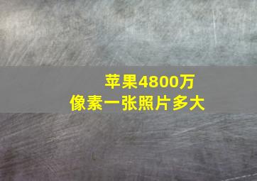 苹果4800万像素一张照片多大