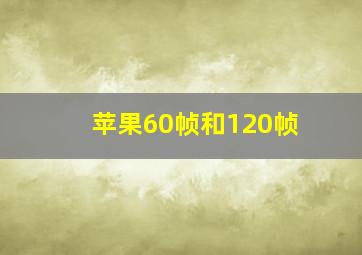 苹果60帧和120帧