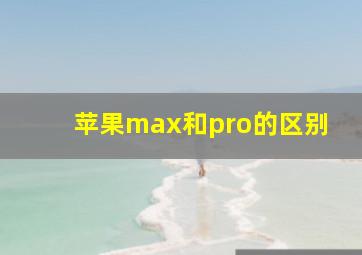 苹果max和pro的区别