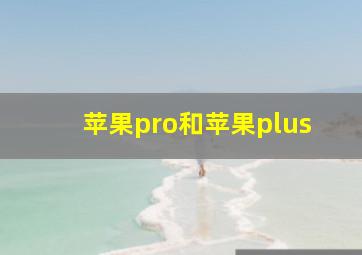 苹果pro和苹果plus