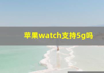 苹果watch支持5g吗