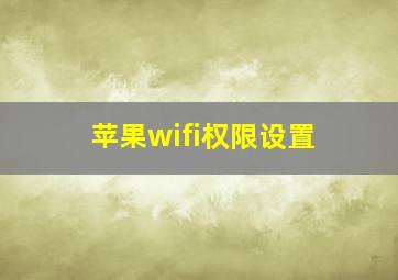 苹果wifi权限设置