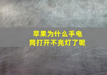 苹果为什么手电筒打开不亮灯了呢