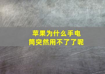 苹果为什么手电筒突然用不了了呢