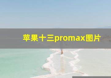 苹果十三promax图片