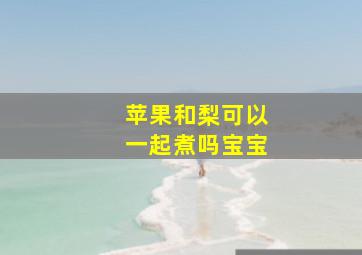 苹果和梨可以一起煮吗宝宝