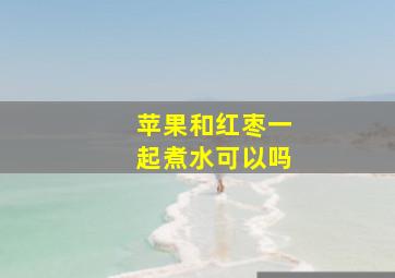 苹果和红枣一起煮水可以吗